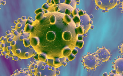 Coronavirus : Guide de survie du sportif en confinement