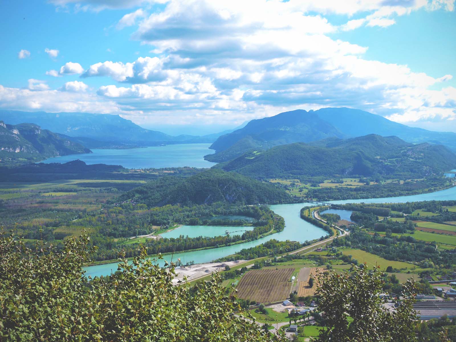 fêlés du grand colombier