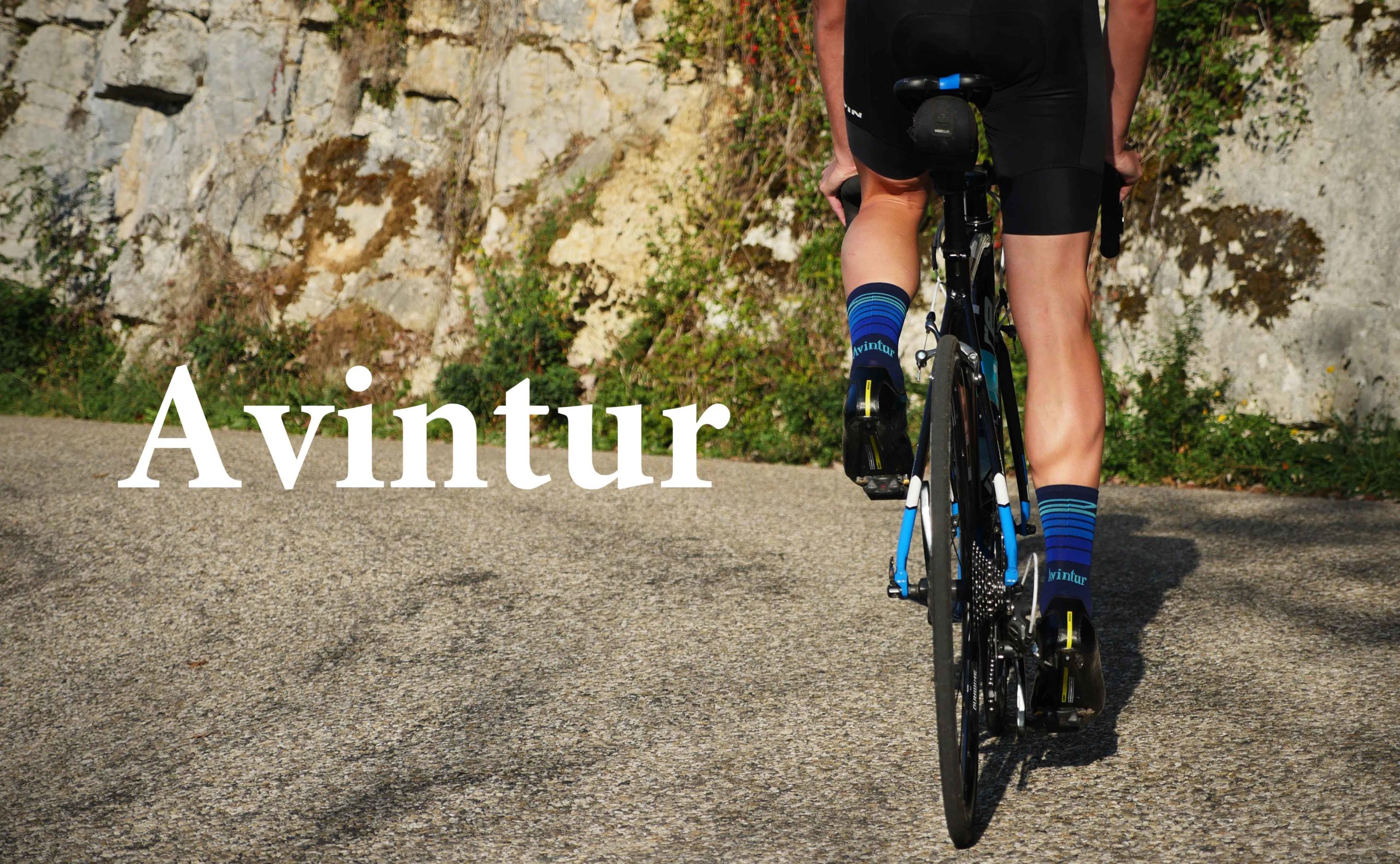 avintur-homepage